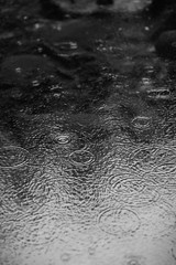black and white raindrops