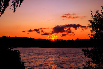 Fototapeta premium Bucolic sunset in a beautiful landscape at the sea. Sun with its rays that lies behind the horizon at the edge of the water. Vegetations framing the decor in the foreground.