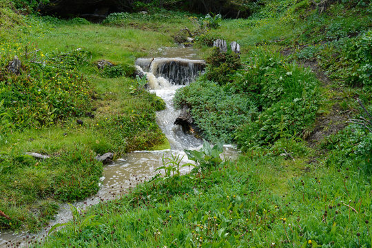 cascadita