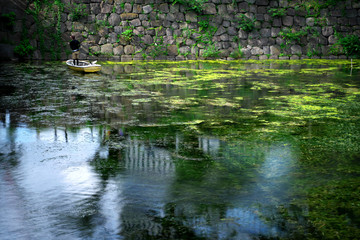 Obraz na płótnie Canvas Tokyo,Japan-July 27,2019: Water in moat full of waterweed and algae in Tokyo