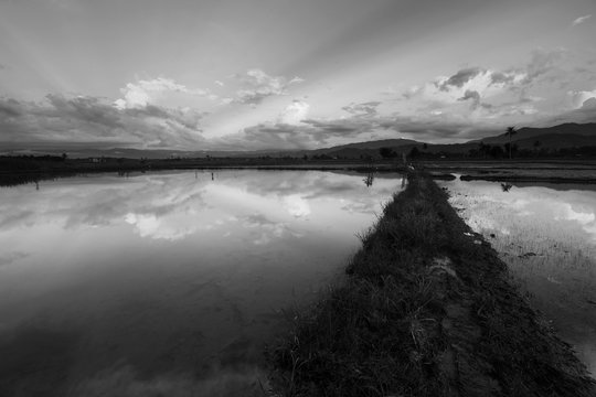Beautiful reflection of clouds in a rural area in black and white. Kota Marudu, Sabah, East Malaysia © macbrianmun