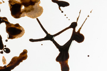 Human blood on white background