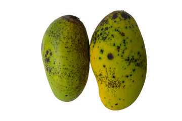Bad mango on a white background