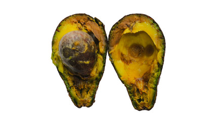 Rotten Avocado on white background