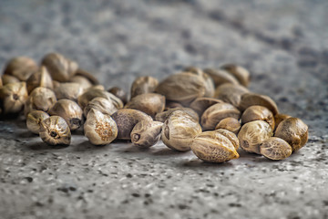 Hemp seeds on a grey background