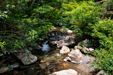 Hiking trail along Minoh river for Minoh falls