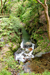Hiking trail along Minoh river for Minoh falls