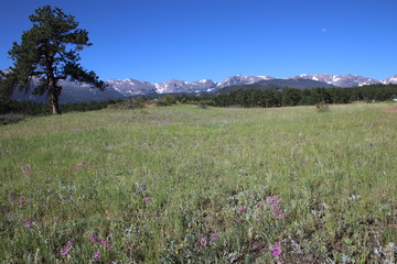 Estes Park Colorado USA