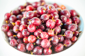 Gooseberry on a saucer, a lot,good harvest
