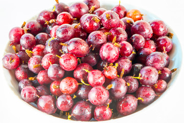 Gooseberry on a saucer, a lot,good harvest