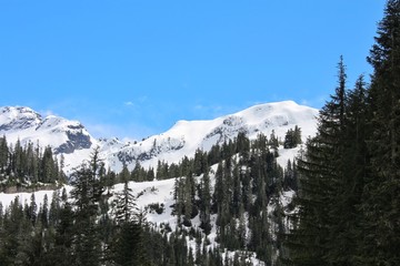 winter in the mountains