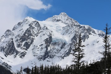 Obraz premium mountains in winter