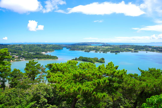 嵐山展望台 Images Browse 25 Stock Photos Vectors And Video Adobe Stock