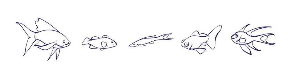Vector set of cartoon fishes outline. Graphic underwater animal illustration isolated on white background for coloring book