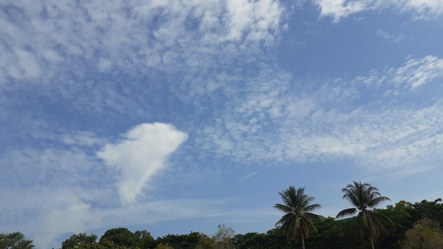sky and cloud view in a clear day