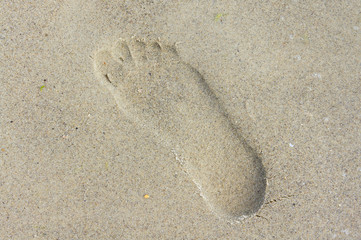 Human footprint on the sandy seashore close up shot