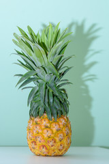 Pineapple on white wooden table over neo mint background. Tropical summer vacation and beach party.