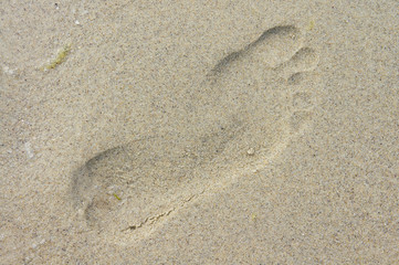 Fototapeta na wymiar Human footprint on the sandy seashore close up shot