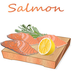 Raw salmon fillets with herbs on wooden dwsk. White background. Vector illustration