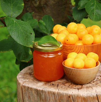 marmelade aus mirabellen selbstgemacht