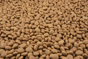 Close-up of pet dry food