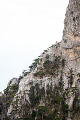 View of Mount Ai-Petri, landscape. Light sunny summer day, clouds, Crimea, Yalta, Russia.