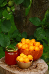 mirabellen marmelade selbstgemacht