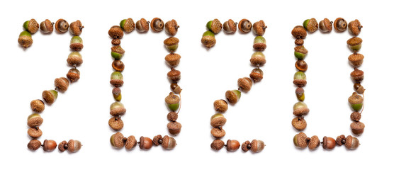 2020. Figures composed of oak acorns