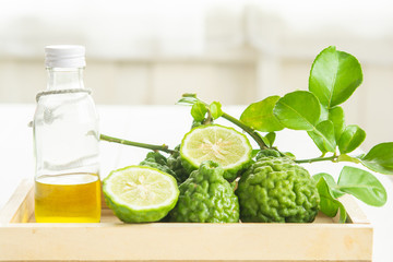 Fototapeta premium Bergamot and green leafs