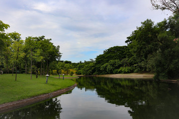 Beautiful colorful red and pink flowers and green nature plant tree forest in the public garden and green city parks