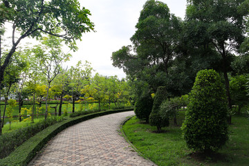 Beautiful colorful red and pink flowers and green nature plant tree forest in the public garden and green city parks