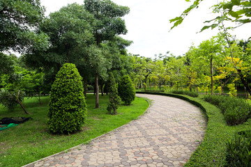 Beautiful colorful red and pink flowers and green nature plant tree forest in the public garden and green city parks
