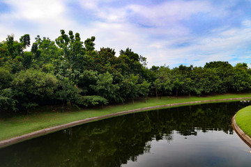 Beautiful colorful red and pink flowers and green nature plant tree forest in the public garden and green city parks