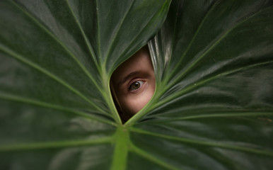 Human eye in the middle of a green leaf. Close-up beautiful eye of the young girl on a green leaf background