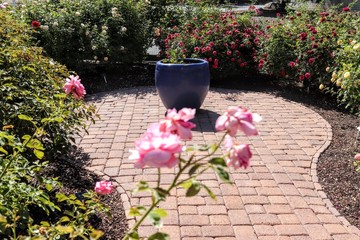 Beautiful Gardens at Barona Casino