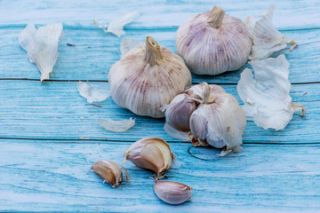 Fresh garlic on a blue wooden table background. Cooking ingredient. Harvest