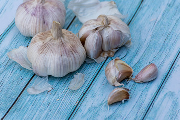 Fresh garlic on a blue wooden table background. Cooking ingredient. Harvest