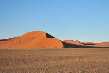 Fototapeta na wymiar Tourists climb the red dunes in the Namib Desert.