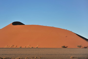 Fototapeta na wymiar Tourists climb the red dunes in the Namib Desert.