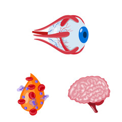 Vector illustration of anatomy and organ logo. Set of anatomy and medical vector icon for stock.