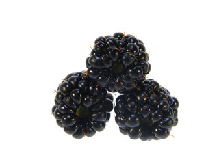 blackberry isolated on white background