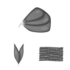 Vector design of human and body icon. Collection of human and cells stock symbol for web.