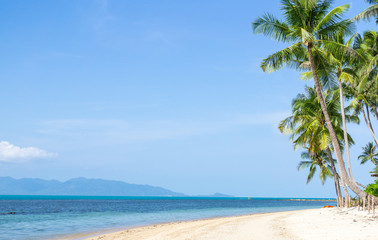 Fototapeta na wymiar Coconut palm trees on island and sand beach. Summer concept