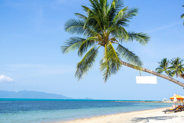 Obraz na płótnie Canvas Coconut palm trees on island and sand beach. Summer concept