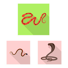 Vector illustration of skin and reptile sign. Collection of skin and danger vector icon for stock.