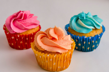 the Colorful homemade cupcakes on a white background
