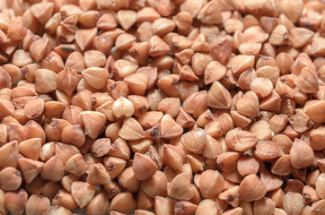 Uncooked buckwheat groat close-up, healthy diet concept, food background