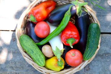 Different fresh organic vegetables from the garden in a wicker basket. Summer and autumn harvest. Healthy organic food concept