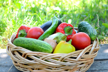 Different fresh organic vegetables from the garden in a wicker basket. Summer and autumn harvest. Healthy organic food concept