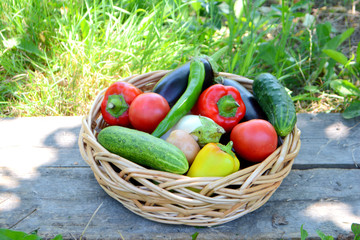 Different fresh organic vegetables from the garden in a wicker basket. Summer and autumn harvest. Healthy organic food concept